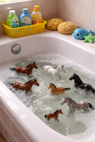 What Miss 7 Taught Me About Regulation