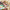 Children's Rainbow Ribbon
