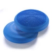 Balance Buddy Cushion