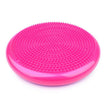 Sensory Balance Cushion (Wobble Cushion)